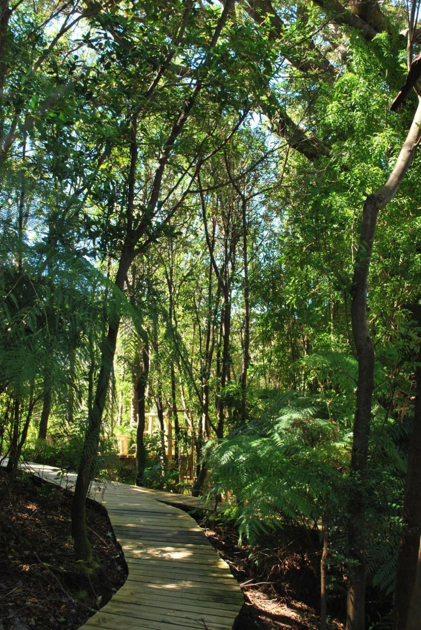 Chucao Bosque Y Cabanas Chaitén Екстериор снимка