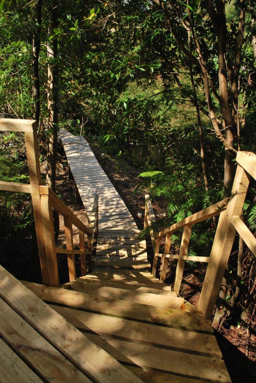 Chucao Bosque Y Cabanas Chaitén Екстериор снимка