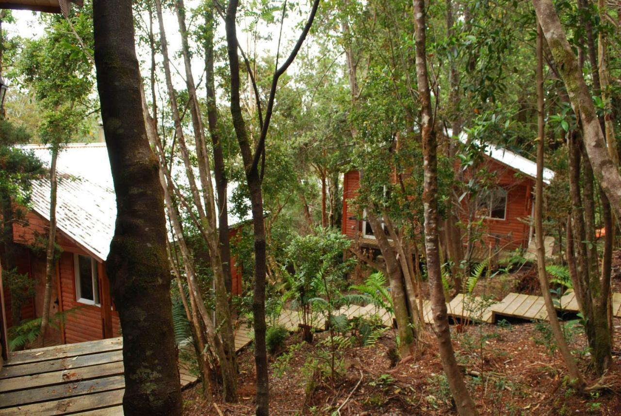 Chucao Bosque Y Cabanas Chaitén Екстериор снимка